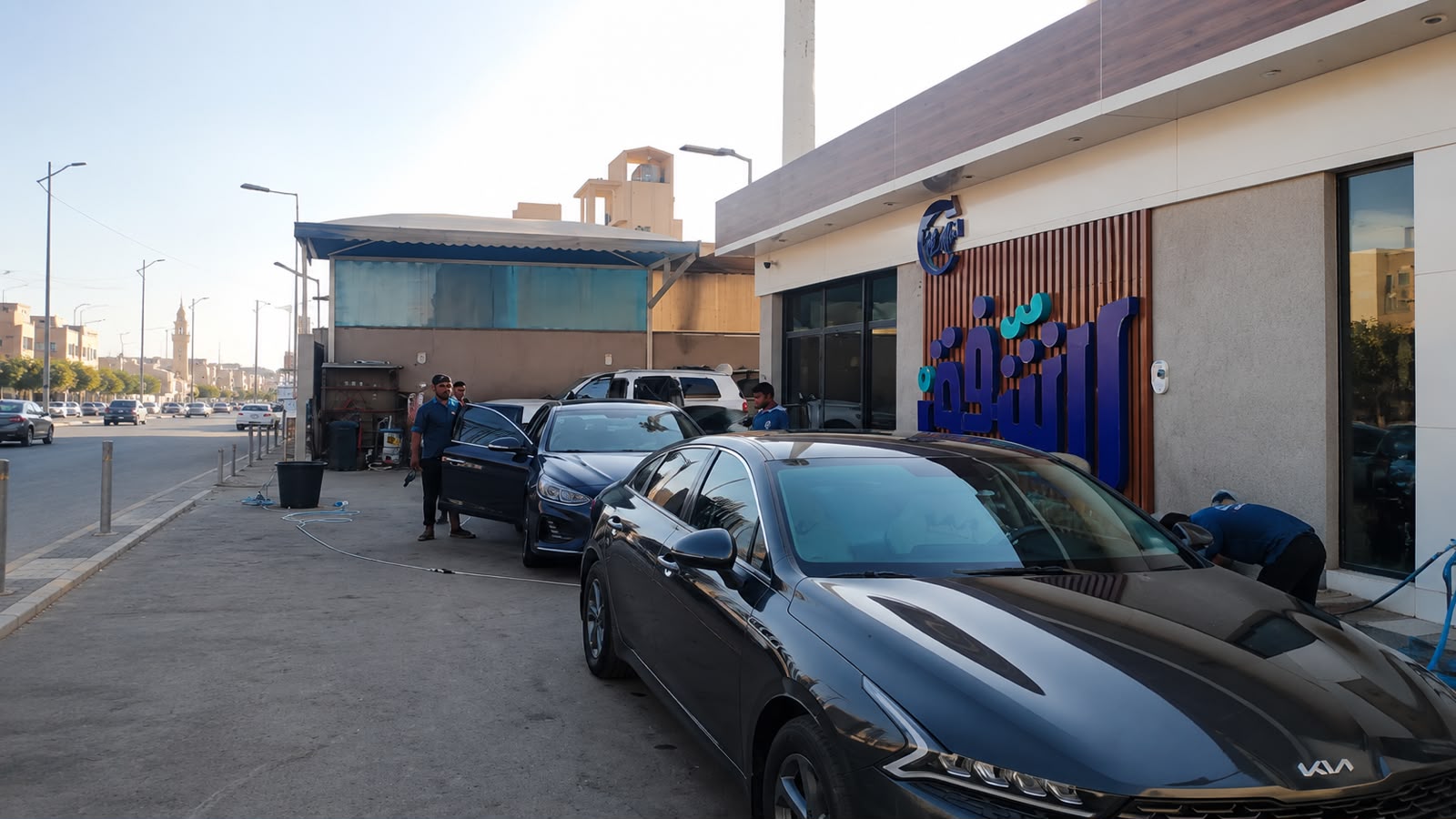 فرع نموذجي من فروع الشفق